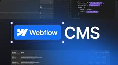 Webflow CMS interface