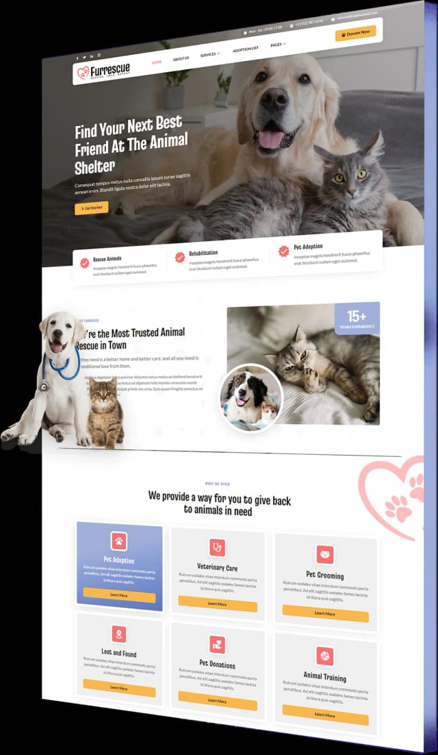 Pet Rescue Website Design