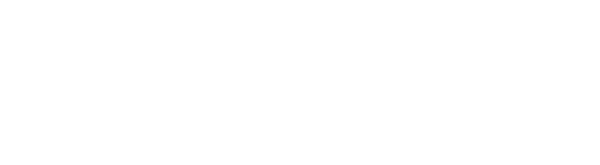 Pet Rescue Website Design