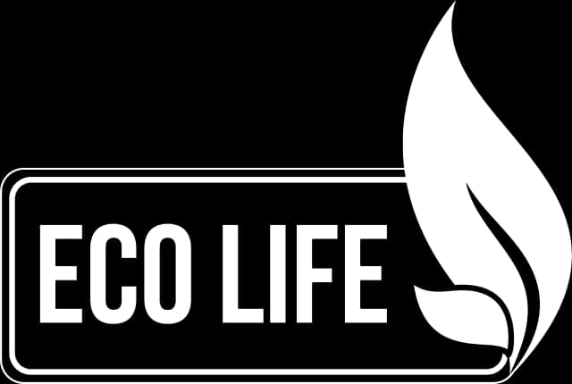 Plant WordPress Website