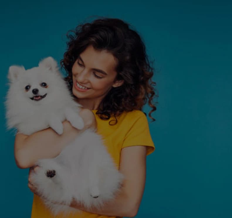 Pet Care Web Solutions